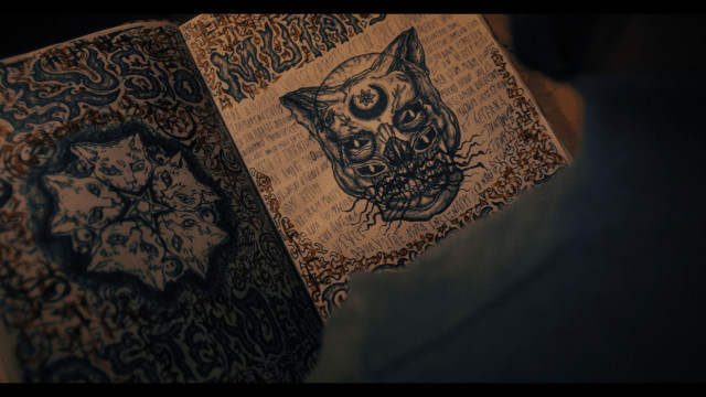 Watch Don't Let the Cat Out Online