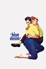 Blue Denim poster