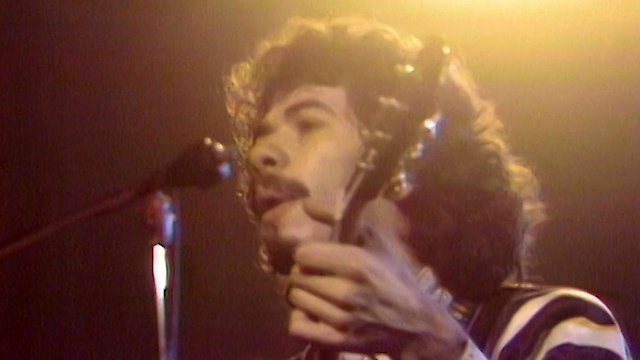 Watch A Night At The Family Dog Online