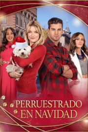 Perruestrado en Navidad (Doblado)