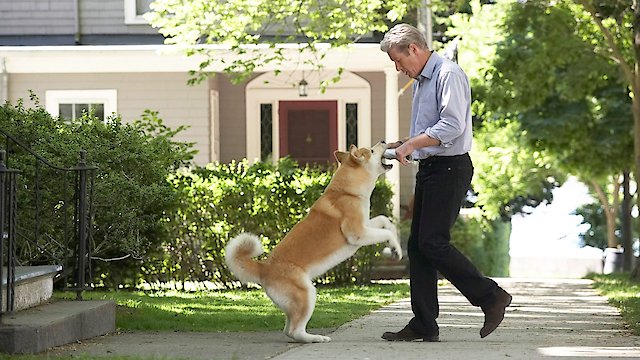 Watch Hachi: A Dog's Tale Online