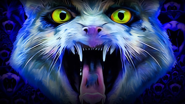 Watch Night of 1000 Cats Online