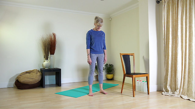 Watch Ageless Fitness - Total Body Toning: Targeting Key Areas to Work Out Online