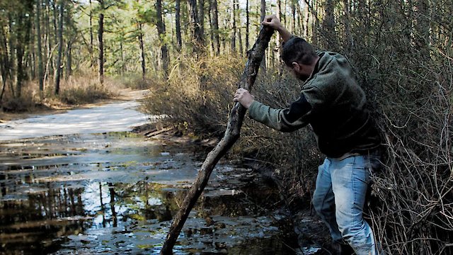 Watch Pine Mud Online