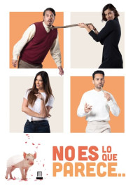 No es lo que parece poster