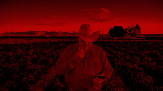 Watch Crazyhot Online