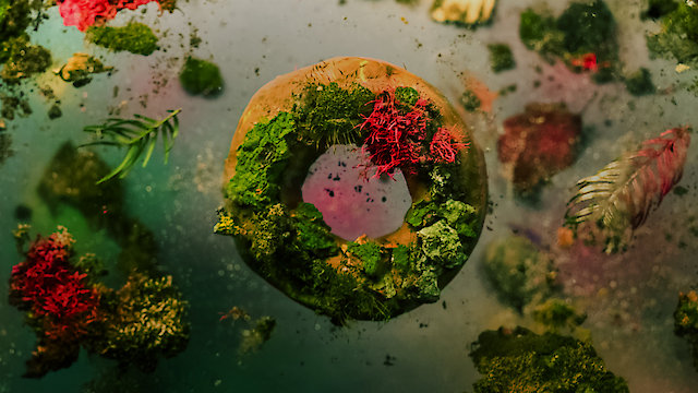 Watch OUTGROW THE SYSTEM Online