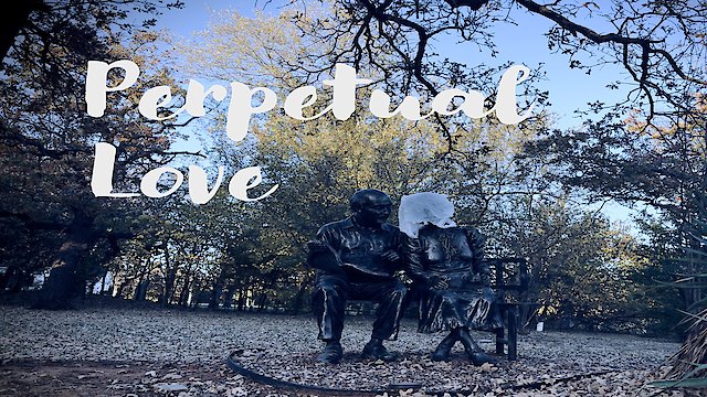 Watch Perpetual Love Online