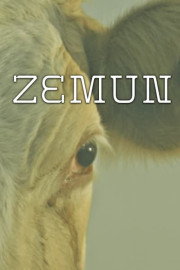 Zemun