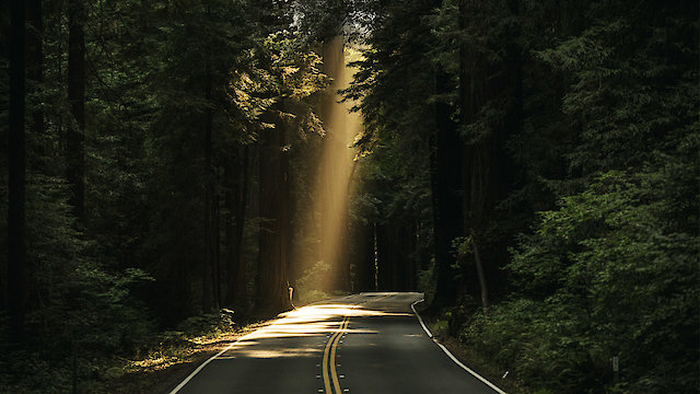 Watch 500 Feet Ahead Online