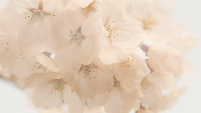 Watch Changed Forever: Grieving The Death of Someone You Love Online