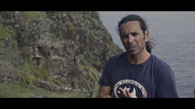 Watch The Island of Giants Online