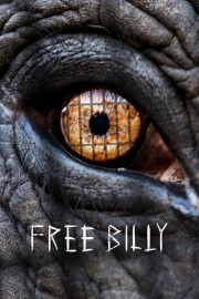 Free Billy poster