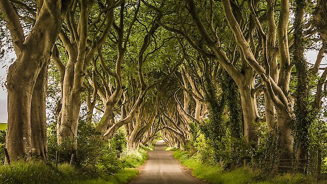 Watch Celtic Lands Online