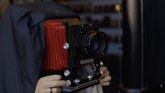 Watch Balkowitsch Online