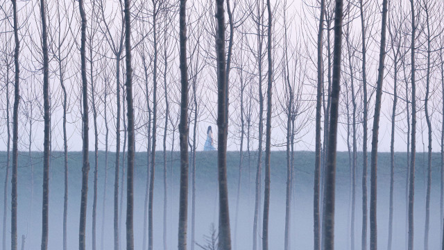 Watch La grazia Online