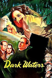 Dark Waters poster