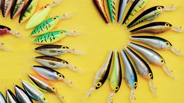 Watch Fishing as a Beginner Online