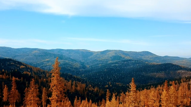 Watch Monster Gold Online