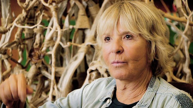 Watch Seat 20D Online