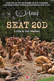 Seat 20D poster