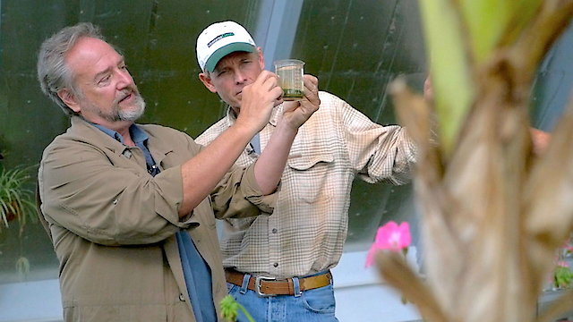 Watch The Need To GROW Online