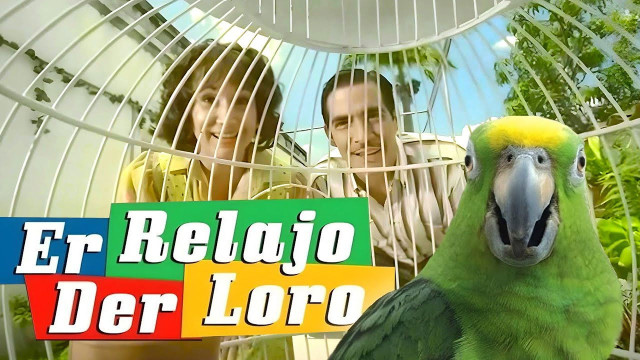 Watch Er relajo der loro Online