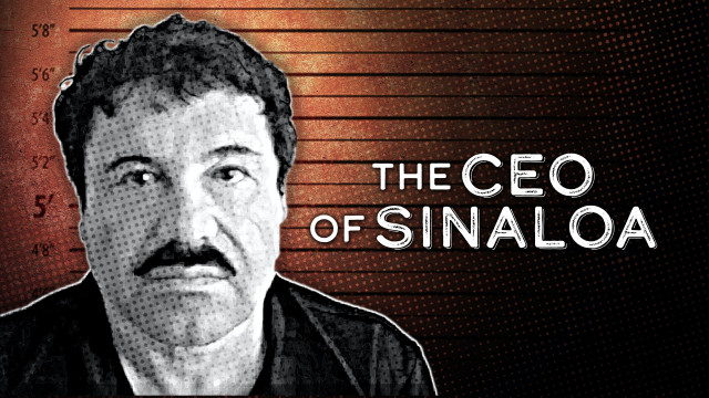 Watch The CEO of Sinaloa Online