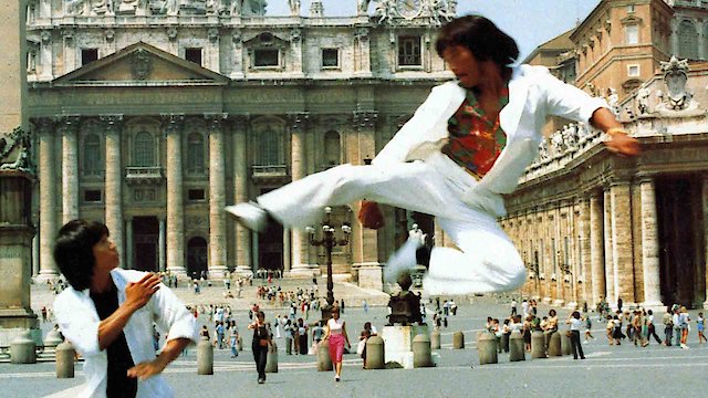 Watch The Ninja Strikes Back Online