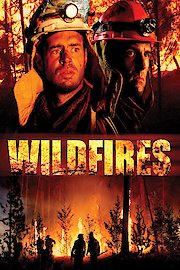 Firestorm: Last Stand at Yellowstone poster