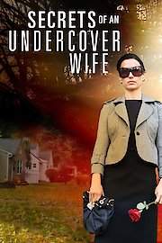 Secrets of an Undercover Wife poster