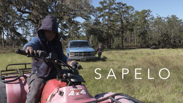 Watch Sapelo Online