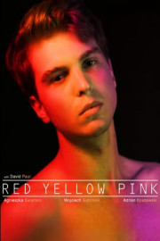 Red Yellow Pink poster