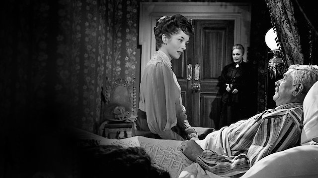 Watch The Shadow of the Cat Online