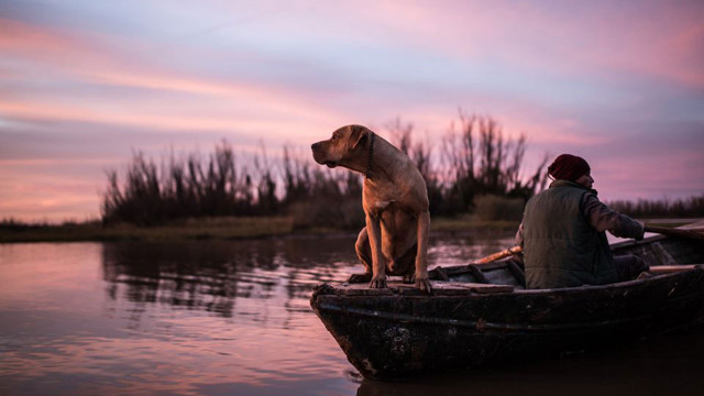 Watch La Creciente Online