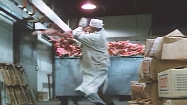 Watch Glove, The Online