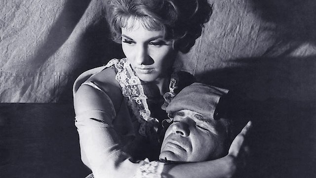 Watch The Wild Westerners Online