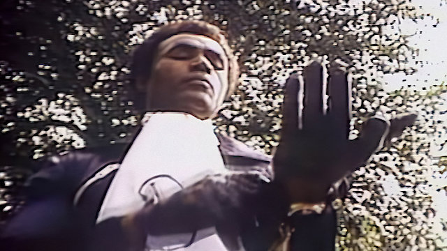 Watch Baron, The Online