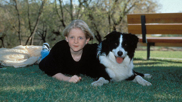 Watch Heck's Way Home Online