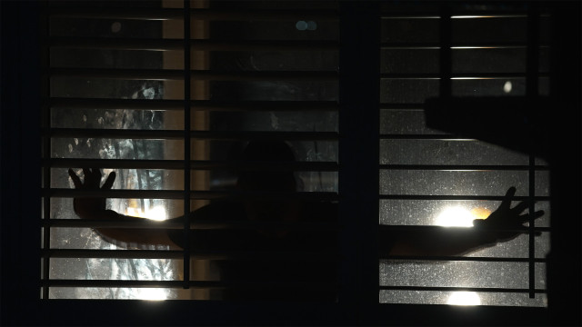 Watch Spread: Pigs to Slaughter Online