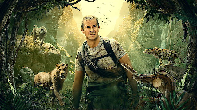 Watch Animals on the Loose: A You vs. Wild Movie Online