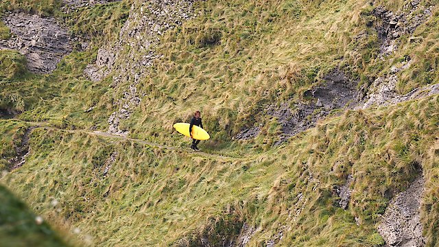 Watch The Buckety Online