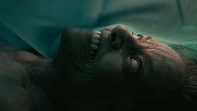 Watch The Mortuary Assistant Online