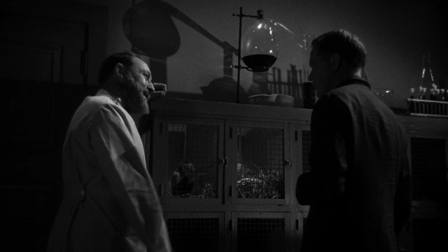 Watch The Mad Doctor of Market Street Online