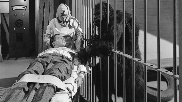 Watch The Strange Case of Dr. Rx Online