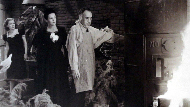 Watch The Spider Woman Strikes Back Online