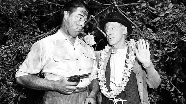 Watch Ma and Pa Kettle at Waikiki Online
