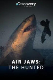 Air Jaws: The Hunted poster