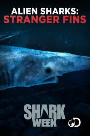 Alien Sharks: Greatest Hits poster