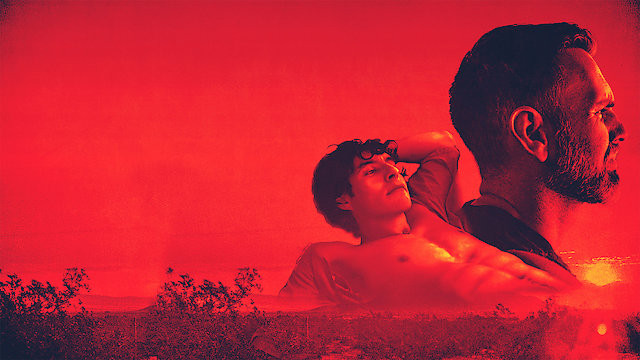 Watch Bleed Like Me Online